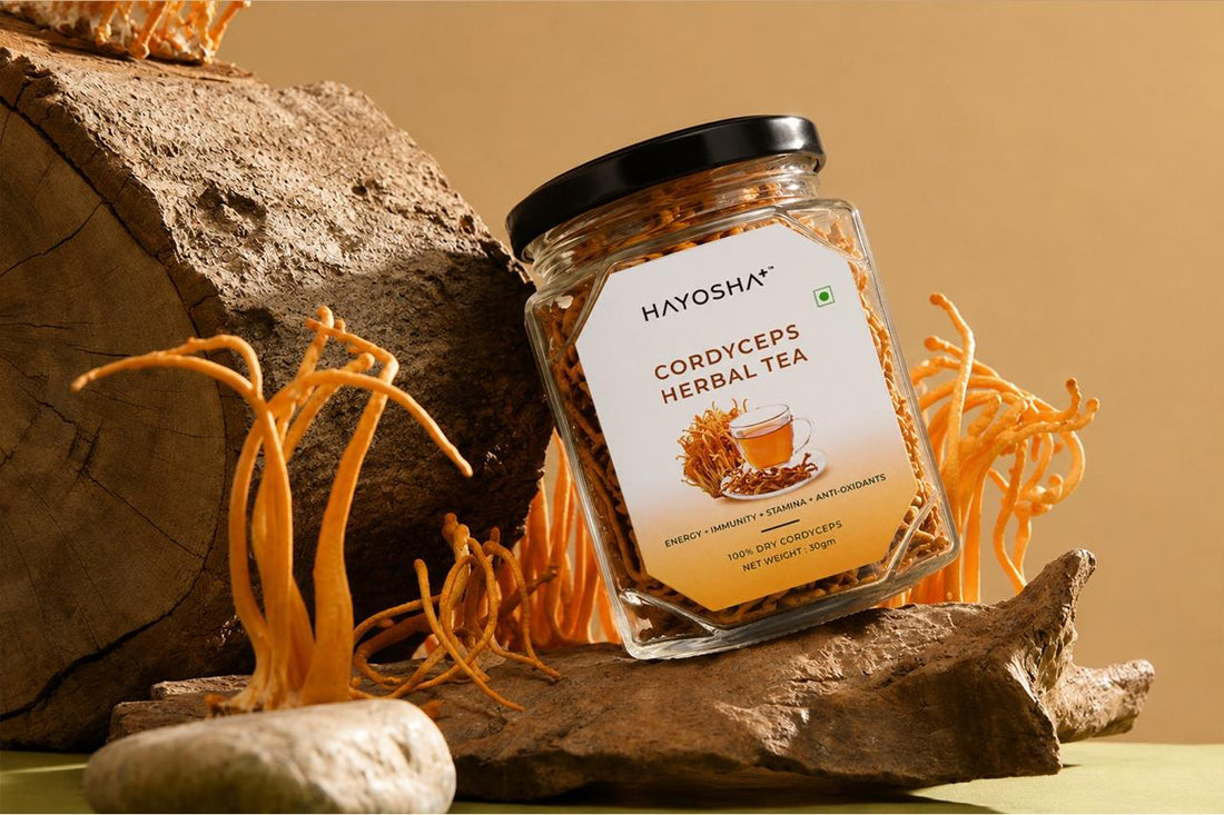 HAYOSHA+ Cordyceps Herbal Tea (30g)
