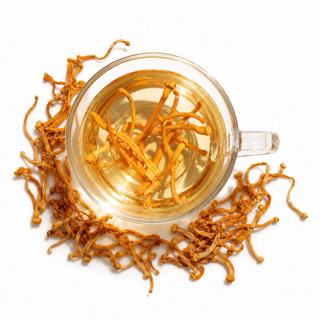 HAYOSHA+ Cordyceps Herbal Tea (30g)