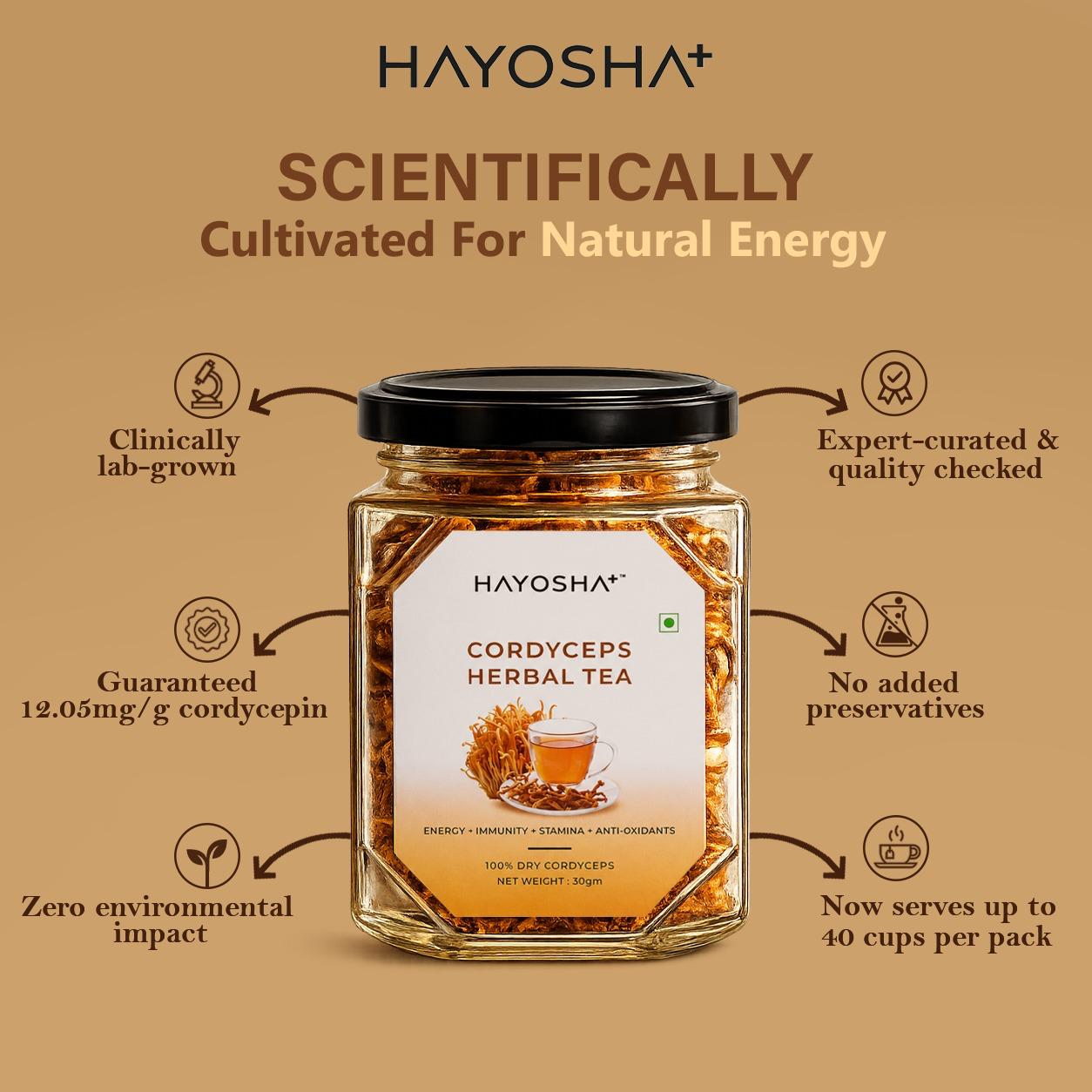 HAYOSHA+ Cordyceps Herbal Tea (30g)